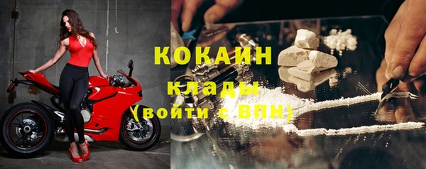 амф Алексин