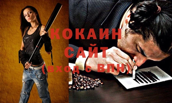 амф Алексин